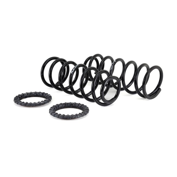 Arnott Coil Spring Conversion Kit, C-2410 C-2410